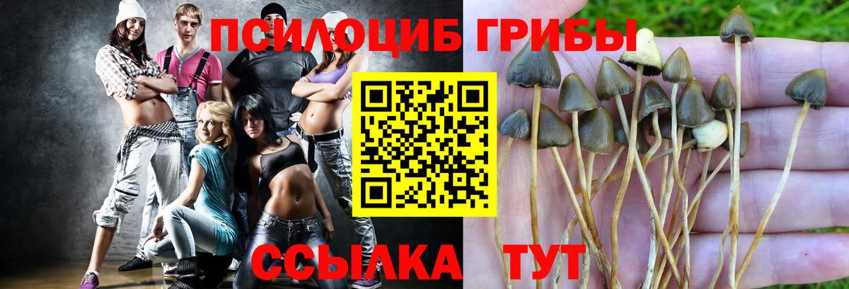 Псилоцибиновые грибы Cubensis  купить наркотики сайты  Удомля  Вход с VPN 